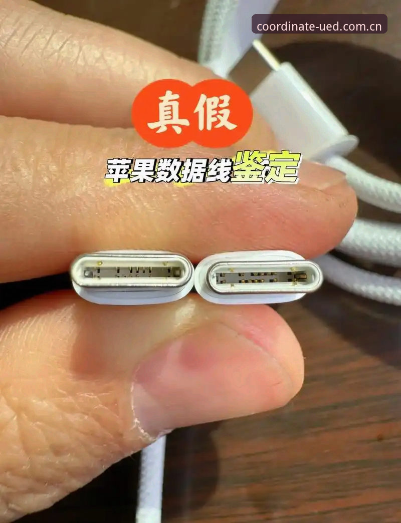 揭秘UED官网苹果手机数据接口：一个体育数据重度用户的真实使用报告